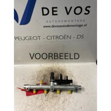 Peugeot 406 2.2 HDi 16V FAP Galerij (Injectie) 4HX 2002 1570A0