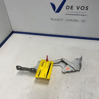 Peugeot iOn iOn Bonnet Hinge 2015 7913S3-1610133780