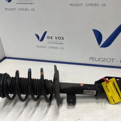 DS Automobiles DS3 Crossback 1.2 12V PureTech 100 Front shock absorber rod, left 2022 9831086680-9869247780