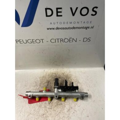 Peugeot 607 2.2 HDi 16V FAP Galerij (Injectie) 4HX 2002 1570A0
