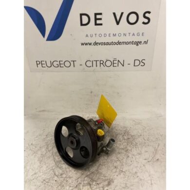 Peugeot 406 2.0 16V Stuurbekrachtiging Pomp RFR 2000 40078E