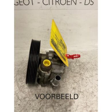Peugeot 406 2.0 16V Stuurbekrachtiging Pomp RFR 1999 40078E