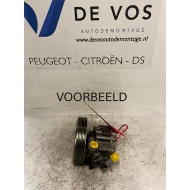 Peugeot Boxer 2.2 HDi Stuurbekrachtiging Pomp 4HY 2004 4007CK