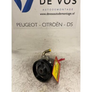 Peugeot 406 2.0 16V ST,SV Stuurbekrachtiging Pomp RFV 1999 4007X1