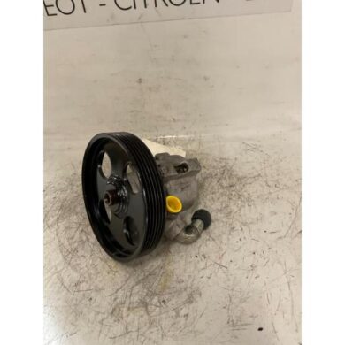 Citroen Xsara  Stuurbekrachtiging Pomp LFY 2000 4007Y9