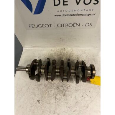 Peugeot 307 2.0 16V Krukas RFN 2004 0501L3