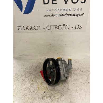 Peugeot 607 2.2 16V Lenkkraftverstärker Pumpe 3FZ 2001 40075A