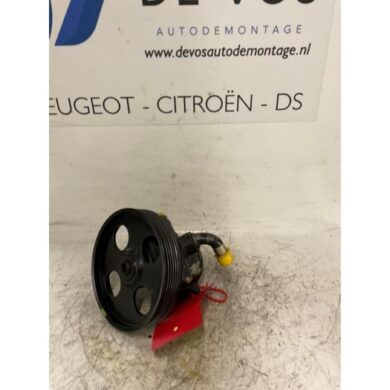 Peugeot 405 2.0 SRi Stuurbekrachtiging Pomp RFX 1993 400788