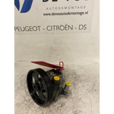 Peugeot 406  Stuurbekrachtiging Pomp RHZ 2000 4007X9