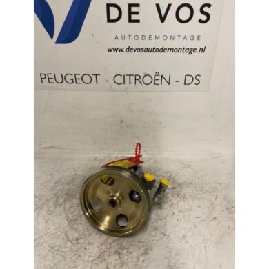 Peugeot 406 2.0 16V ST,SV Stuurbekrachtiging Pomp RFN 2001 40078E