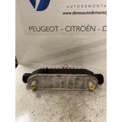 Peugeot 807 2.2 HDiF 16V Intercooler Buis 4HW 2006 0384H4