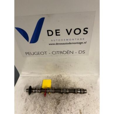 Peugeot 807 2.0 HDi 16V FAP Nokkenas RHM 2003 0801V9