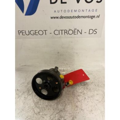 Peugeot 306 2.0 HDi Stuurbekrachtiging Pomp RHY 1999 4007X0
