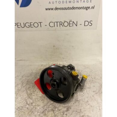 Peugeot 406  Stuurbekrachtiging Pomp RHZ 2000 4007X9