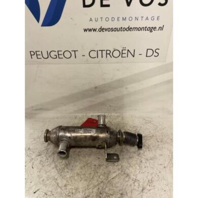 Peugeot 307 2.0 HDi 110 FAP EGR koeler RHS 2002 1628TW
