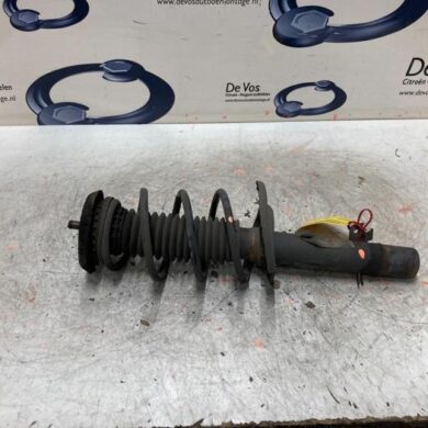 Peugeot 208  Front shock absorber rod, left 2014 9803128080