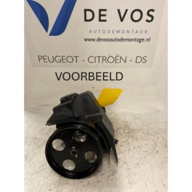 Peugeot 206 1.6 XS,XT Stuurbekrachtiging Pomp NFZ 2000 4007V5