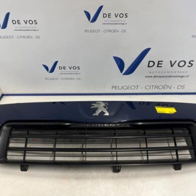 Peugeot Expert 2.0 HDiF 16V 130 4x4 Grille 2015 1608230580-1608231080-9678108480