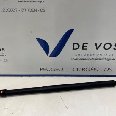 Peugeot 508  Rear gas strut, left 2024 9832948280-9835642680
