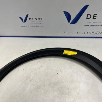Citroen C3  Spatbord Lijst 2025 98456021XT