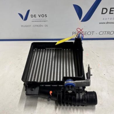 DS Automobiles DS4  Intercooler 5G06 2024 9675627980