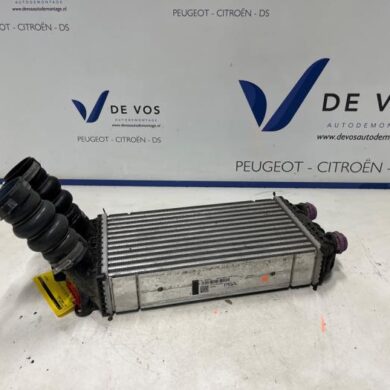 Opel Corsa 1.2 Turbo 12V 100 Intercooler HNE-HN05 2024 9824742280