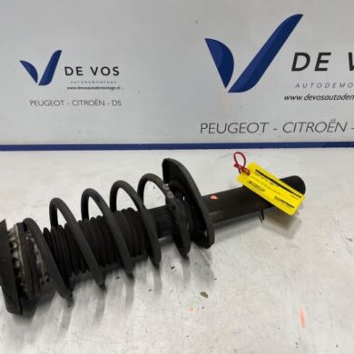 Peugeot 207 1.4 16V Front shock absorber rod, left 2006 5202VF