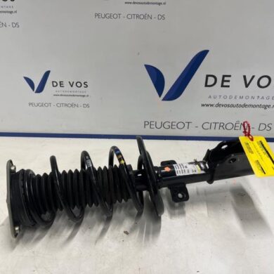Peugeot 508  Front shock absorber rod, left 2024 9829093380