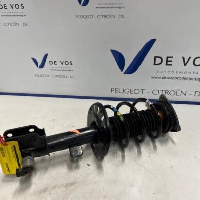 DS Automobiles DS4  Front shock absorber rod, right 2024 9844813880-9851734380
