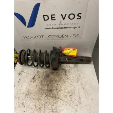 Citroen C3 1.4 HDi 16V Front shock absorber rod, right 2003 5202GZ-5002LN