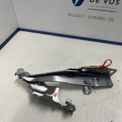 Peugeot 508  Motorkap Scharnier 2024 9813071480