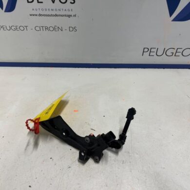 Peugeot 508  Sensor (overige) 2024 9816730180