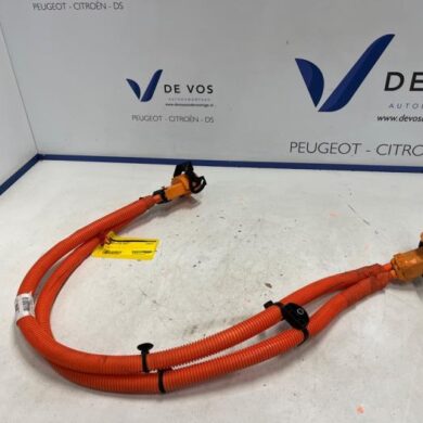 Citroen C3  HV kabel (hoog voltage) 2025 9864098680