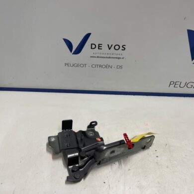 DS Automobiles DS4  Motorkap Scharnier 2024 9830840580