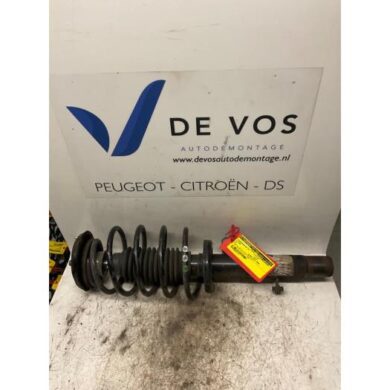 Citroen C3  Front shock absorber rod, right 2004 5202TC-5002LJ