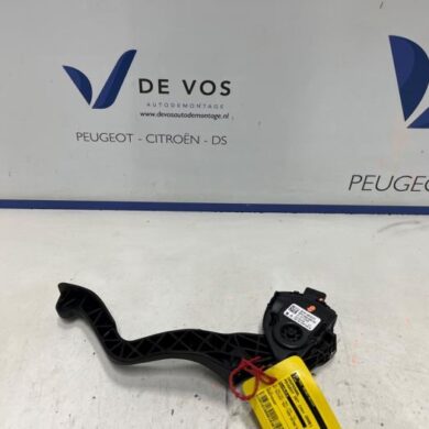 Peugeot 207 1.4 16V Accelerator pedal 2006 1601R5-9680756880