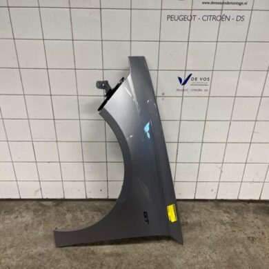 Peugeot 508  Front wing, left 2024 9816032680