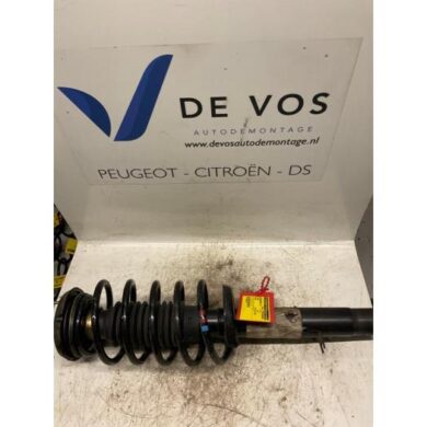 Citroen Pluriel  Front shock absorber rod, right 2005 5202KA-5002LP