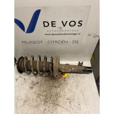 Citroen C3 1.4 HDi Front shock absorber rod, left 2011 5208F6-5002YC