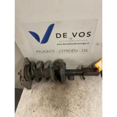 Citroen Jumpy 1.6 HDI 16V Front shock absorber rod, left 2009 5202WR-5208Q2
