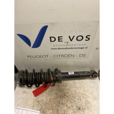 Peugeot 407  Schokdemperpoot links-voor 2005 5202PA