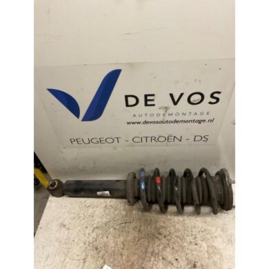 Peugeot 407  Front shock absorber rod, left 2006 5202YG