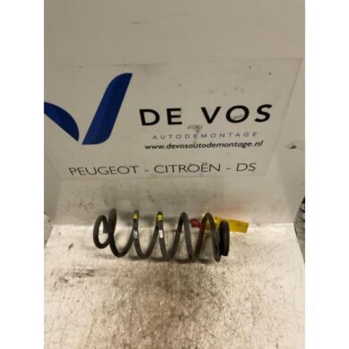 Peugeot 307 2.0 16V Schroefveer achter 2006 5102V7