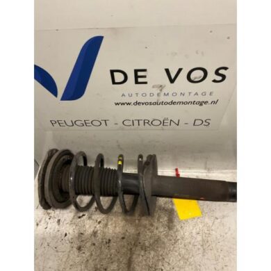 Peugeot 206 PLUS 1.1 XR,XS Front shock absorber rod, left 2011 5202LV