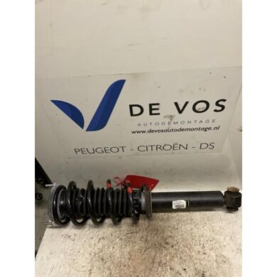 Peugeot 407 2.2 16V Front shock absorber rod, left 2004 5202PA-5002FJ