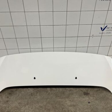 Peugeot Expert 1.5 BlueHDi 100 Motorhaube 2021 9811892880