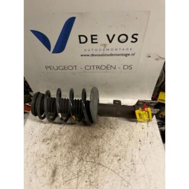 Citroen C4 Picasso 2.0 16V Autom. Front shock absorber rod, left 2007 5202ZS-5002PK