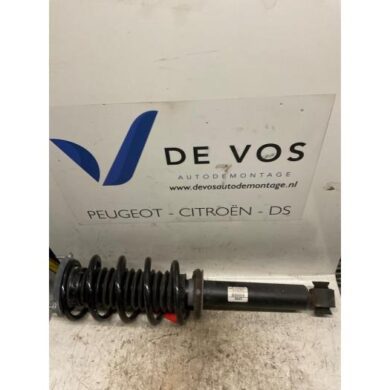 Peugeot 407 2.2 16V Front shock absorber rod, left 2005 5202PA