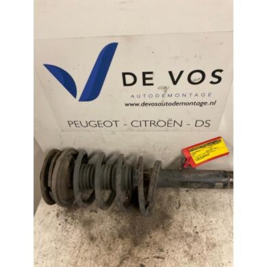 Peugeot 607 2.9 V6 24V Front shock absorber rod, left 2000 5202AE-5002Y9
