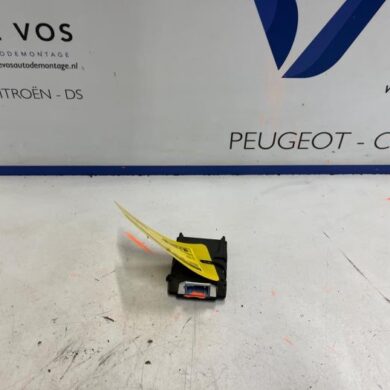 Peugeot 208 1.2 Vti 12V PureTech 100 Kamera Vorderseite 2021 9836833180-1681924780